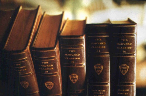 una immagine che spancerebbe